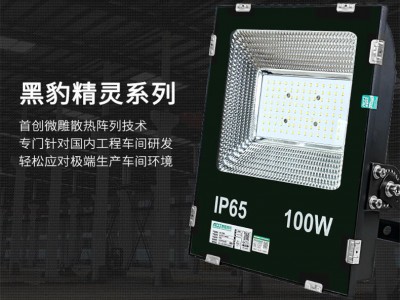 泛光燈、LED泛光燈，泛光燈250瓦